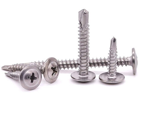 Self Tapping (Mabati) Screw