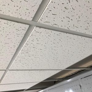 WhatsApp Image 2025-11-27 at 11.04.11