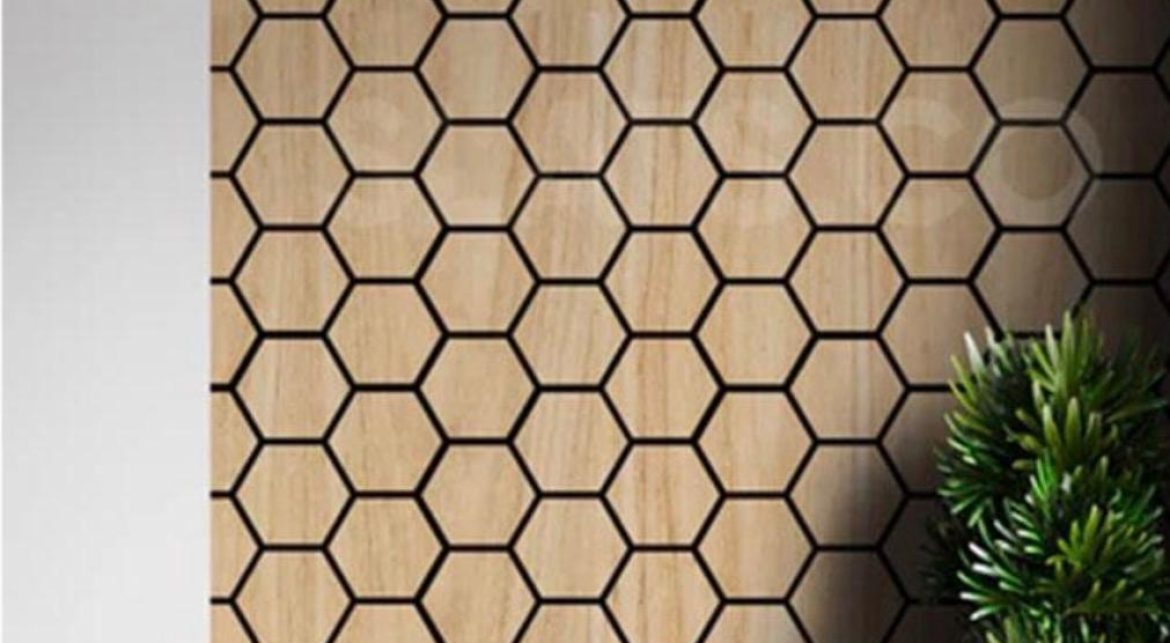 WhatsApp Image 2026-01-08 at 08.30.37 (2)